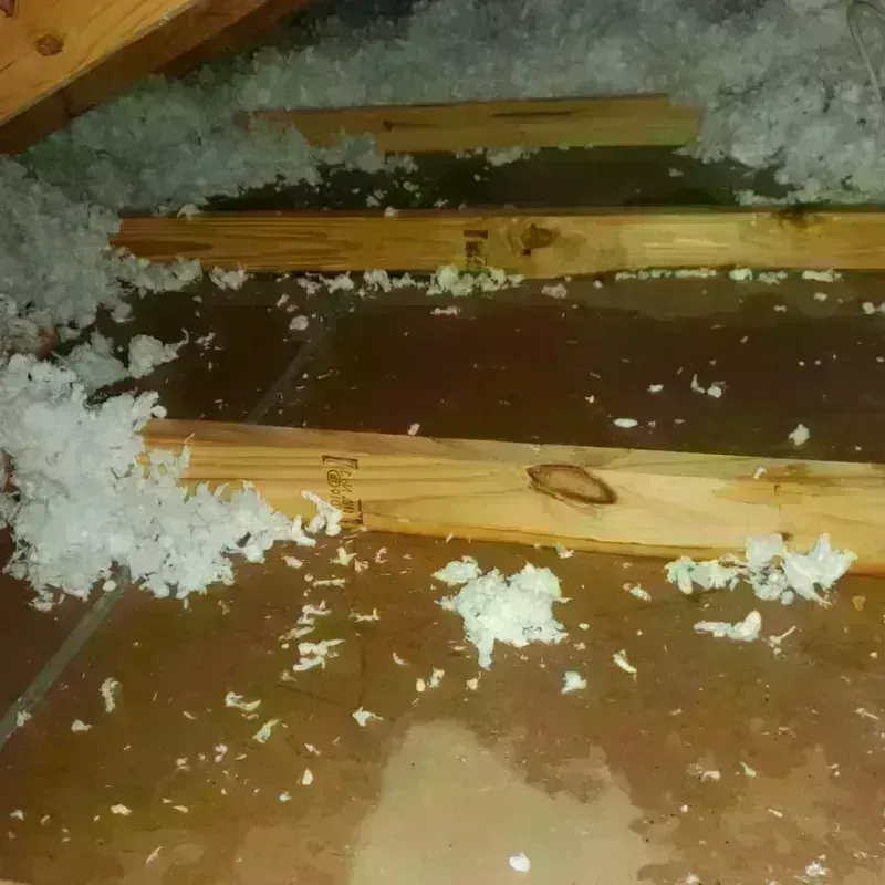 Attic Water Damage in South Hooksett, NH